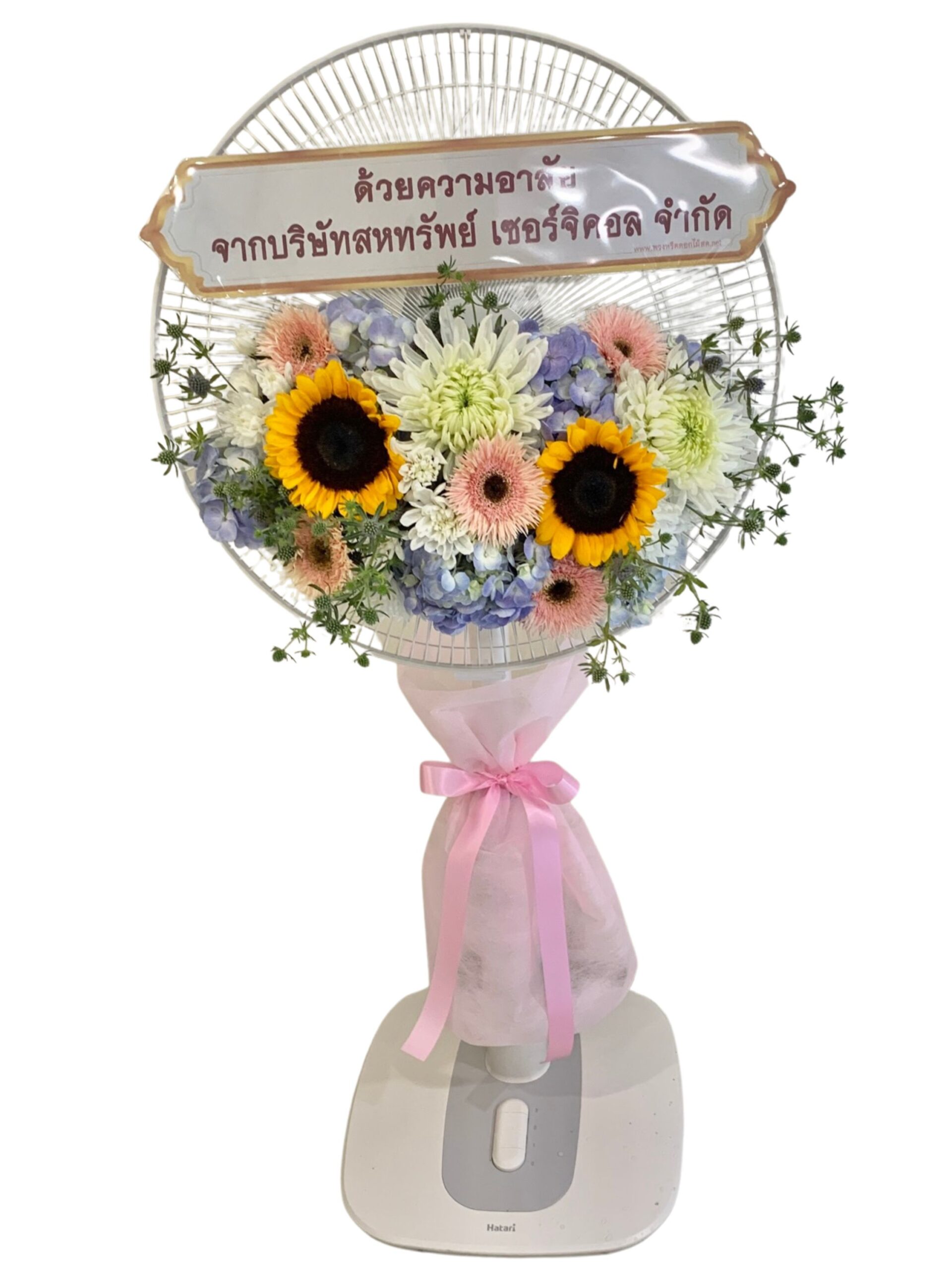 พัดลม11